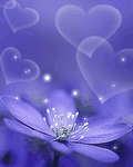 pic for love flower